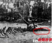 黑龙江坠龙事件,神秘黑龙坠落之谜