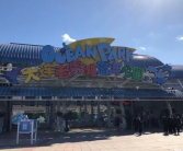 老虎滩团购,门票优惠、美食特色及游玩指南