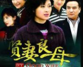 贤妻良母剧情介绍,家庭伦理剧中的爱与成长