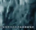 太湖冤魂事件真相,真相背后的悲怆与反思