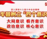 四个意识是指什么,筑牢党的思想根基，凝聚奋进力量