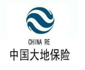 中国保险公司,守护国民财富的金融卫士
